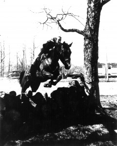 LC_-_Photo_jumping_horse